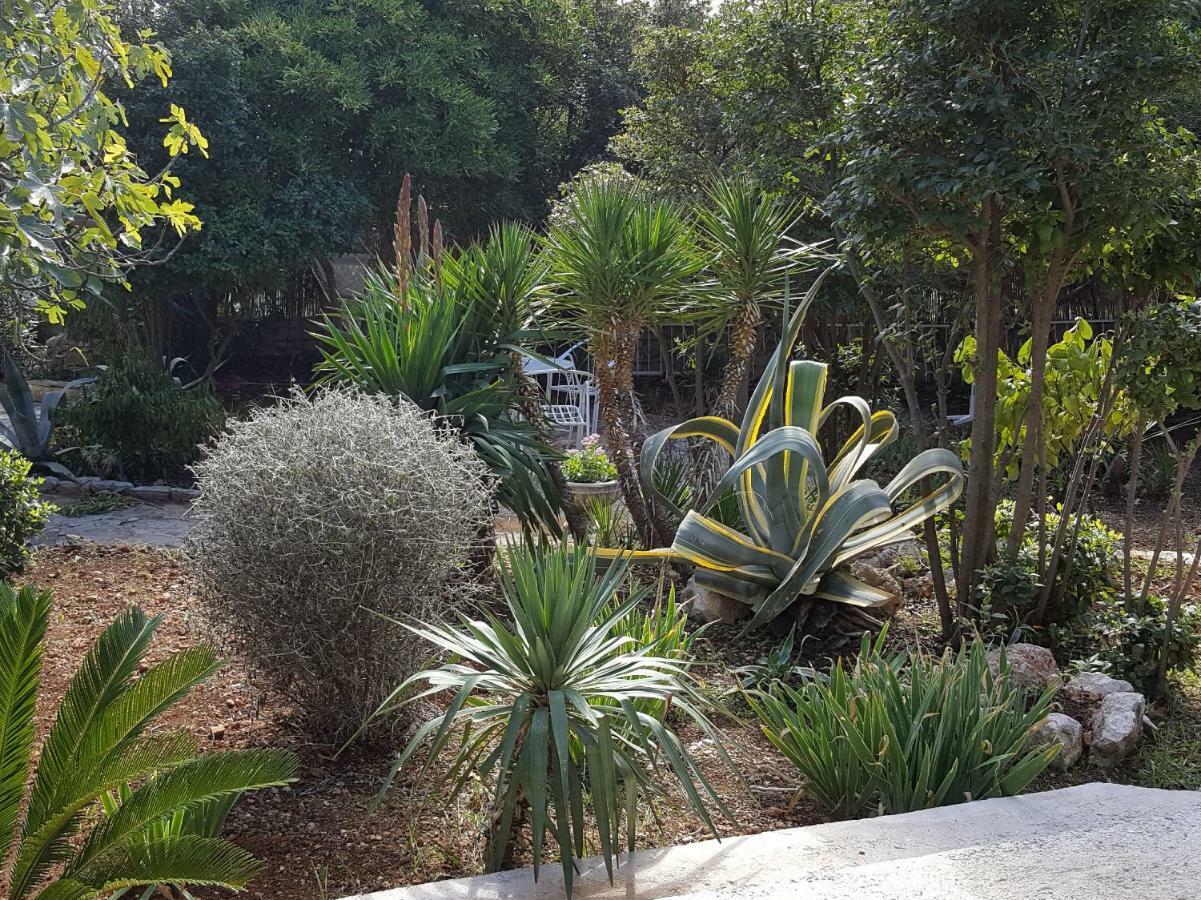 Apartment Lila Garden Bol Luaran gambar